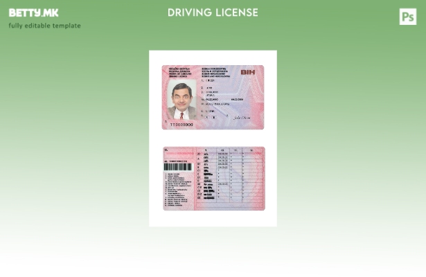 Модерен стил шаблон верзија на возачка дозвола Босна и Херцеговина